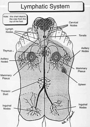 Fascia Facial and Feet Treatment